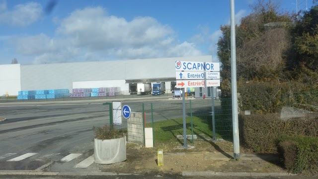 Scapnor