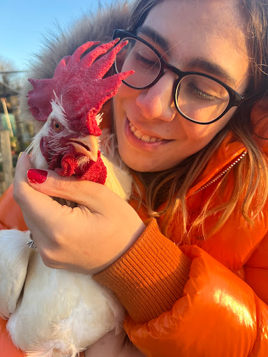 Marta’s Farm - Thumbnail