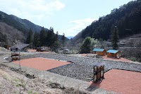 HOLY FUNGUS ホーリー・ファンガス