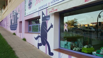 Photos of VETERINARY CLINIC SAN MARTIN