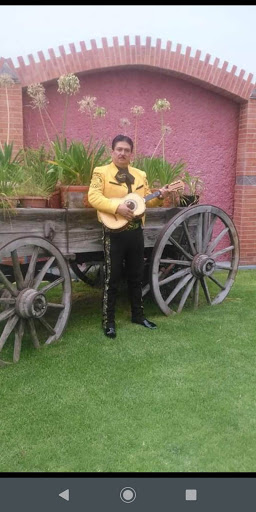 Mariachi Juvenil 95