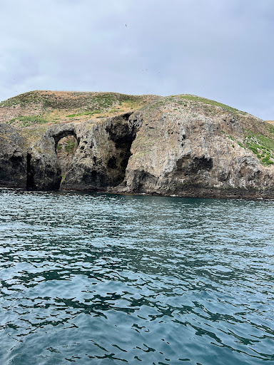 Channel Islands Expeditions - Oxnard - Thumbnail