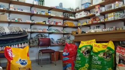 veterinary-care