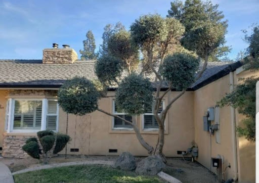 Deckards Landscape - Visual