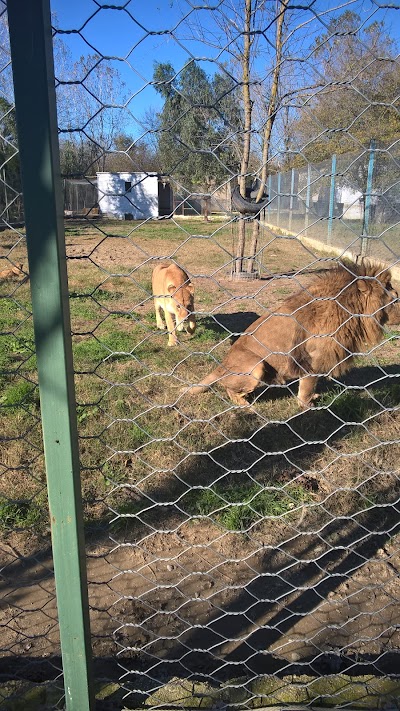 Kopështi Zoologjik