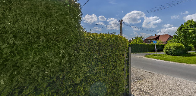 Telefonszám: Lorelei Guesthouse Adults Only