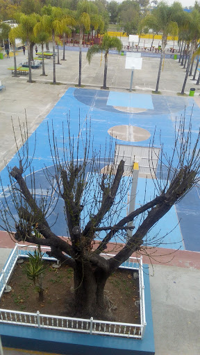 INSTITUTO MARGIL - Visual