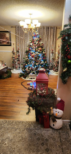 Harris Family Christmas Lights - Thumbnail