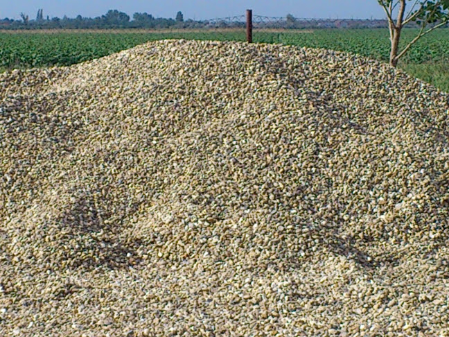 Comentarii opinii despre Piroska Sóder-Homok Tüzép