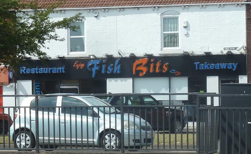 Fish Bits - Visual
