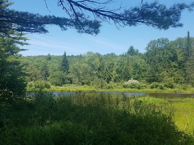 Beaversprite Sanctuary