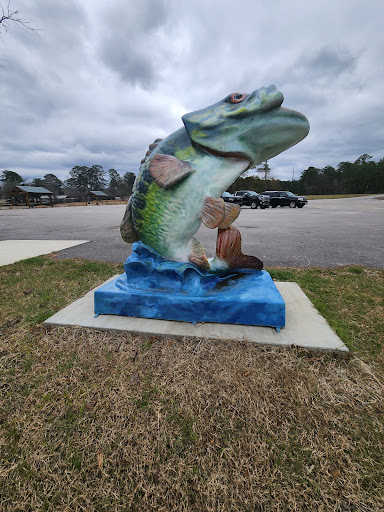 Six Mile Public Boat Ramp - Thumbnail