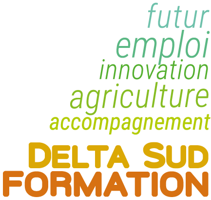 Delta Sud Formation - Thumbnail