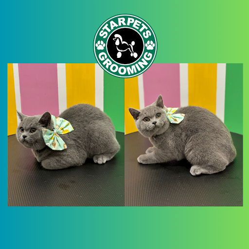 Starpets London
