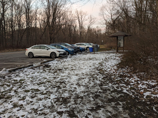 Royalview Mountain Bike Trail (Dessoffy Lot) - Thumbnail