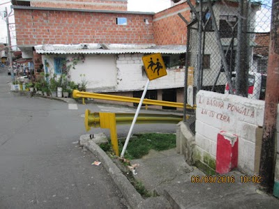 school