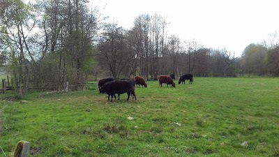 Photos of Ferme de la Planche