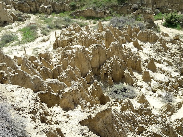 Aguarales de Valpalmas