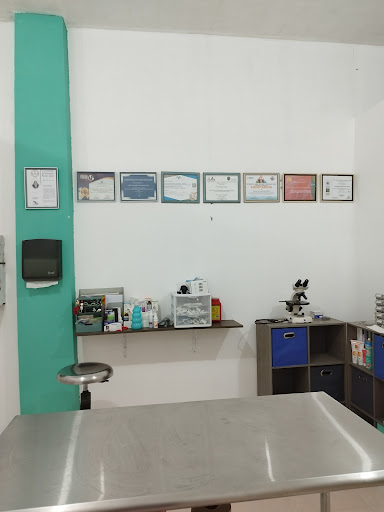 Yazzana Clínica Veterinaria