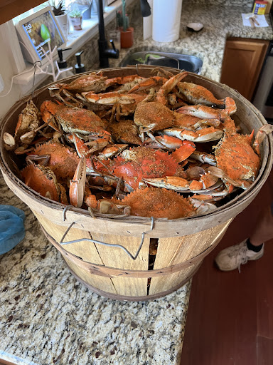 Boonedocks Seafood - Visual