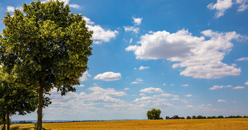Raiffeisen Ruhrgebiet e. G. - Zentrale