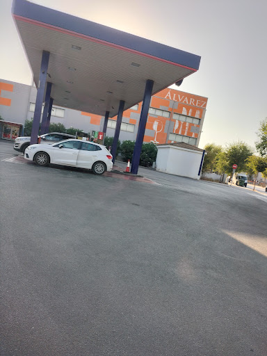 Autonetoil Son Rossinyol Gallery - Spain