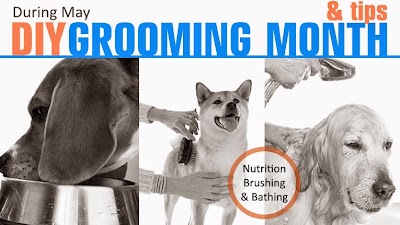 Photos of Birnam Veterinary Clinic