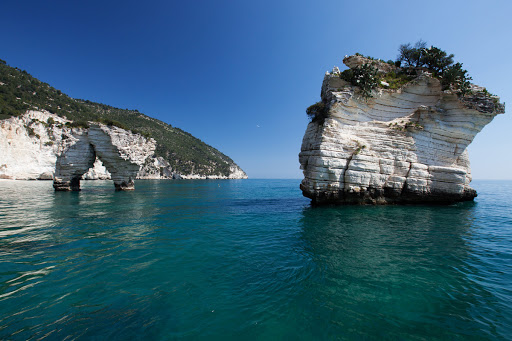 Gargano Ok - Visual