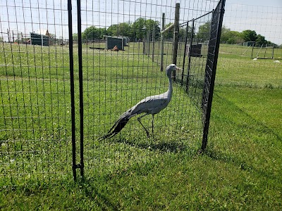 Trowbridge Creek Zoo