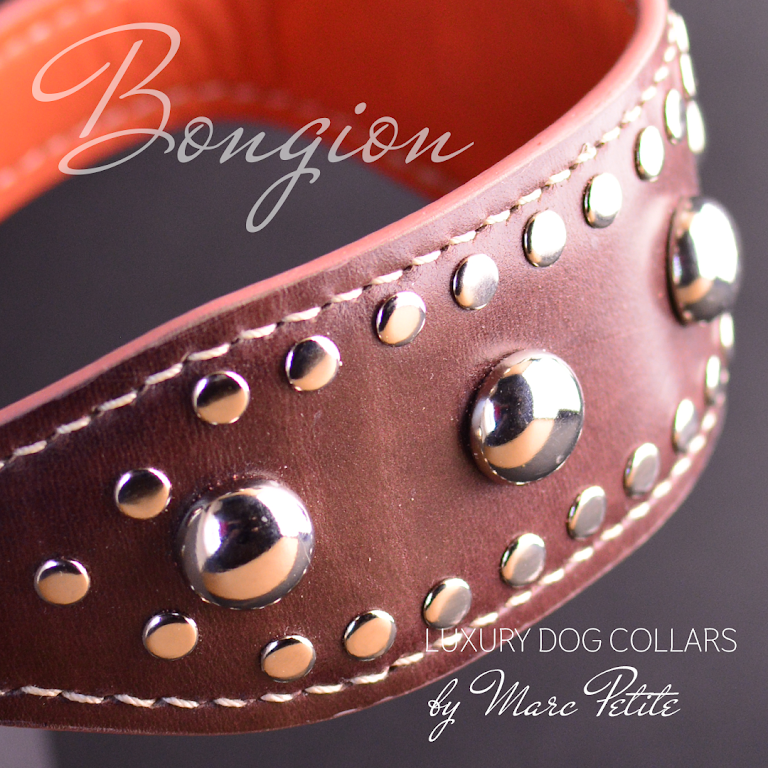 Designer Dog Collars by Marc Petite