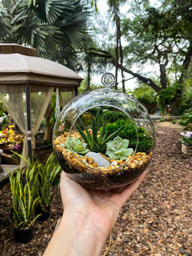 Florida Flora - Visual