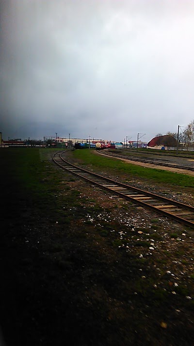 Photos of Orsha-Zapadnaya