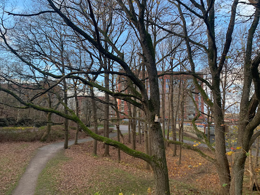 Guldhedsdalen - Thumbnail
