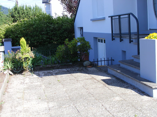 Photo de SapinMyrtille à Dommartin-lès-Remiremont (88200)