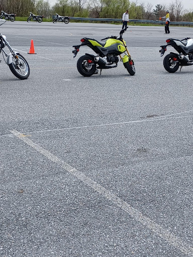Elmerton Ave Lot Parking