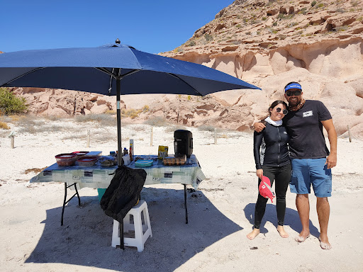 Hakuna Matata Baja Tours Gallery - Mexico