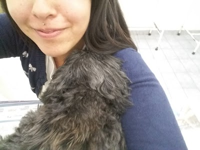 Photos of Veterinaria Isidro Casanova