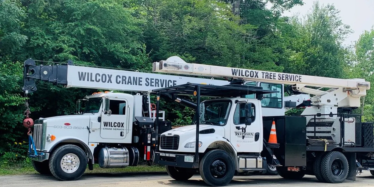 Wilcox Tree Service, LLC