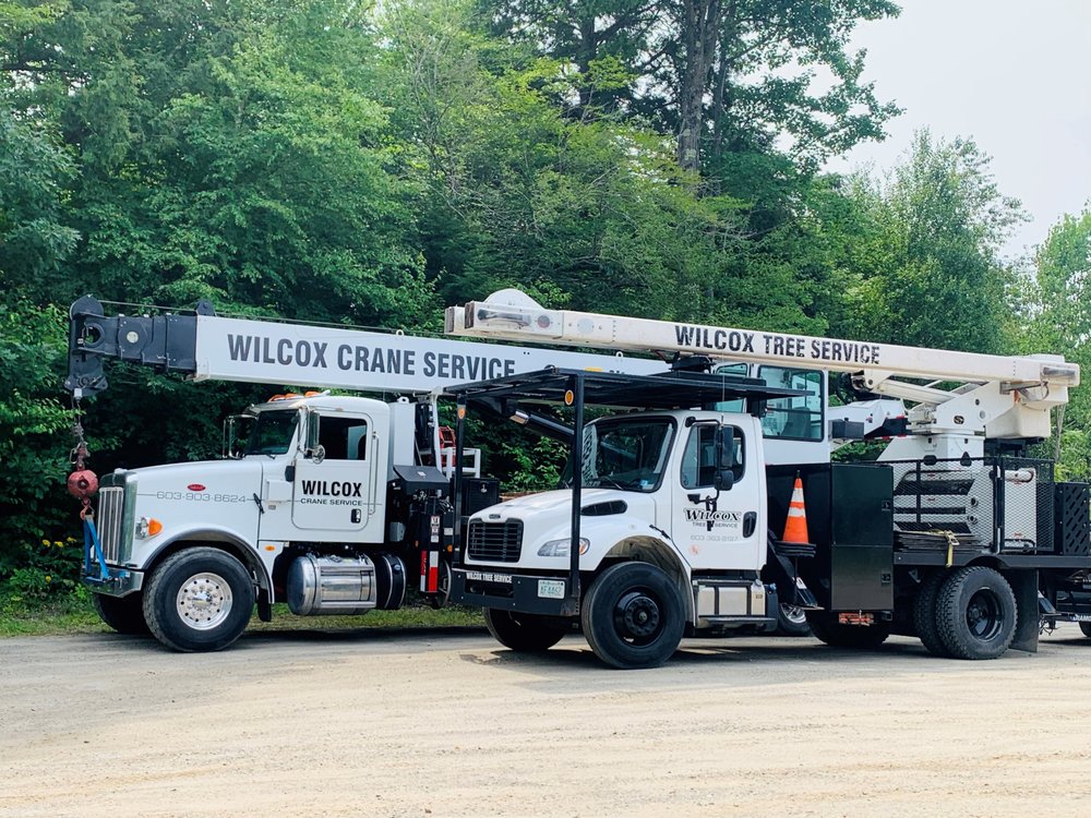 Wilcox Tree Service, LLC