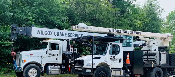 Wilcox Tree Service, LLC