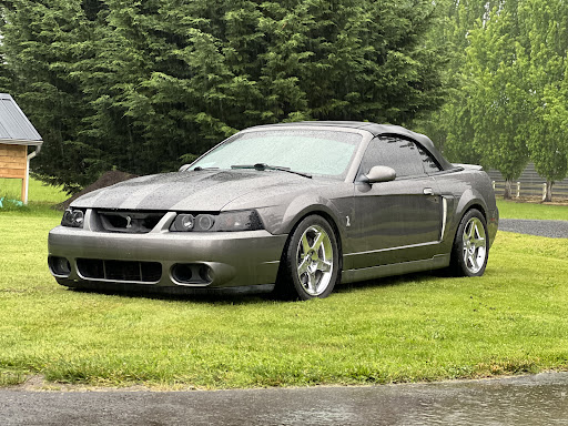 PDX Window Tint - Visual