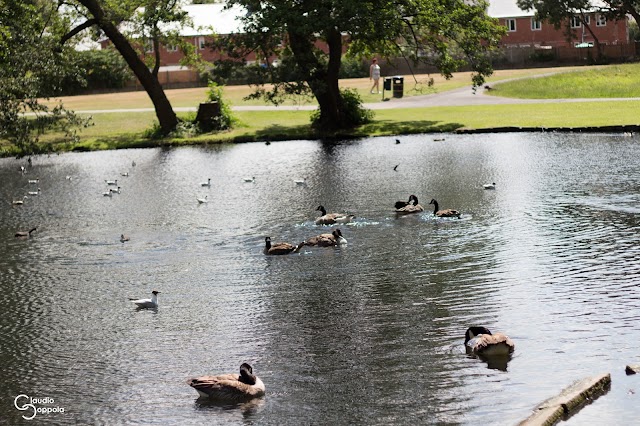 Boultham Park