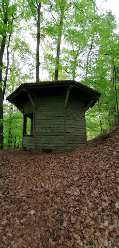 Holzpavillon - Visual