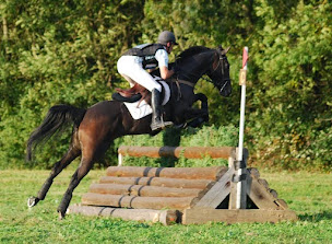 Photo n°4 de Les Ecuries de Messey à Messey-sur-Grosne (Centre équestre)