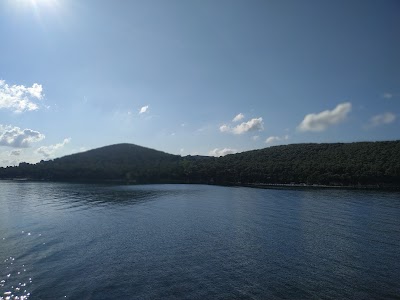 Çam Limanı Deniz