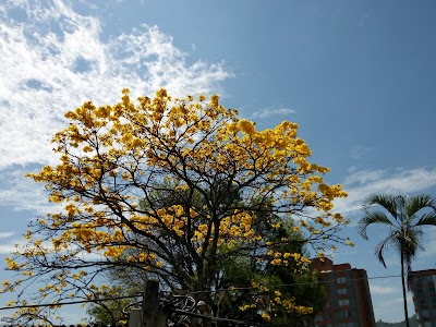 Photos of Barrios de Jes&uacute;s Park