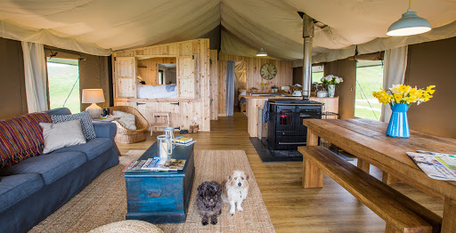 Catchpenny Safari Lodges Gallery - United Kingdom