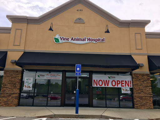 Vine Animal Hospital - Thumbnail