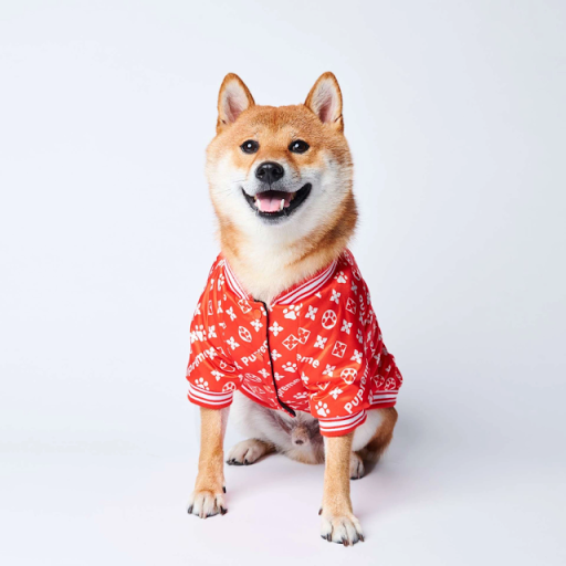 Poochie Moochie Inc - Thumbnail