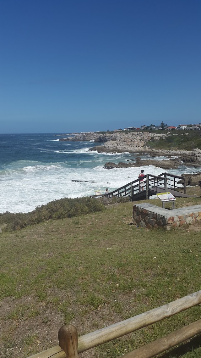 Hermanus Whale Cruises